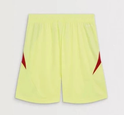 T-shirt e Pantaloncini Bambino Arsenal 2025/26 - Portiere
