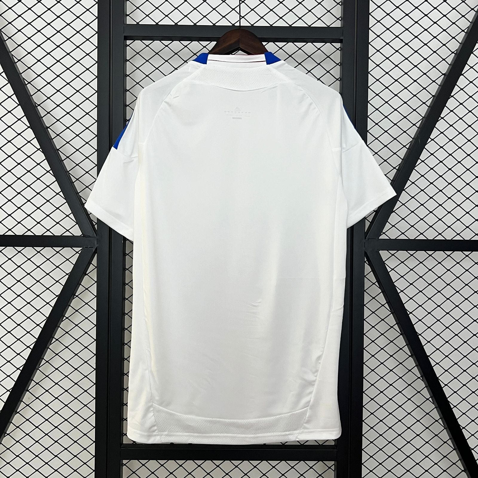 Maglia Retro Lyon 2010/11