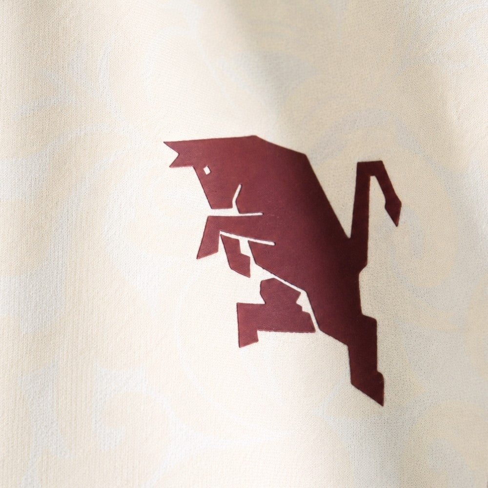 Maglia da allenamento Torino FC 26/27